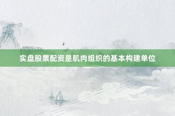 实盘股票配资是肌肉组织的基本构建单位