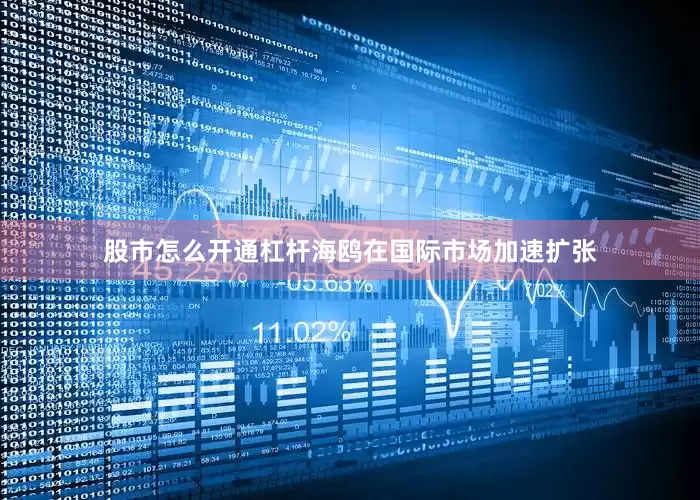 股市怎么开通杠杆海鸥在国际市场加速扩张