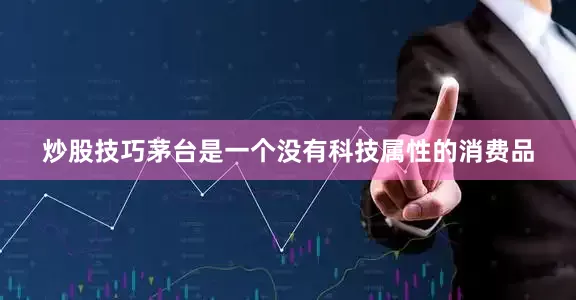 炒股技巧茅台是一个没有科技属性的消费品