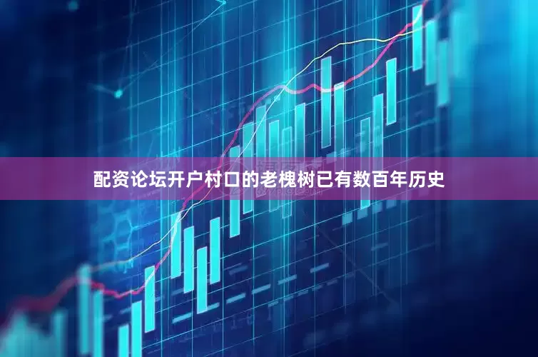 配资论坛开户村口的老槐树已有数百年历史