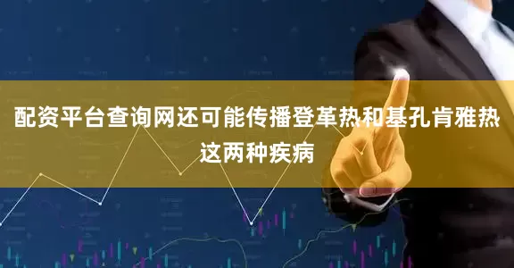 配资平台查询网还可能传播登革热和基孔肯雅热这两种疾病