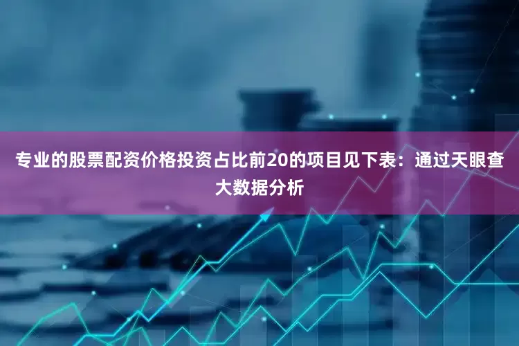 专业的股票配资价格投资占比前20的项目见下表：通过天眼查大数据分析