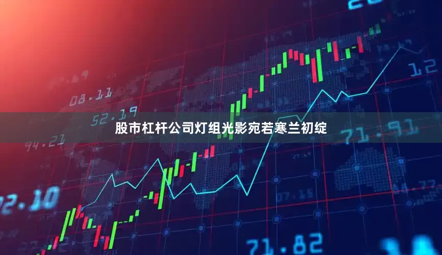 股市杠杆公司灯组光影宛若寒兰初绽