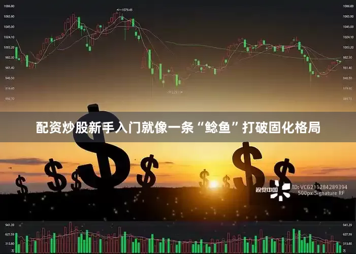 配资炒股新手入门就像一条“鲶鱼”打破固化格局