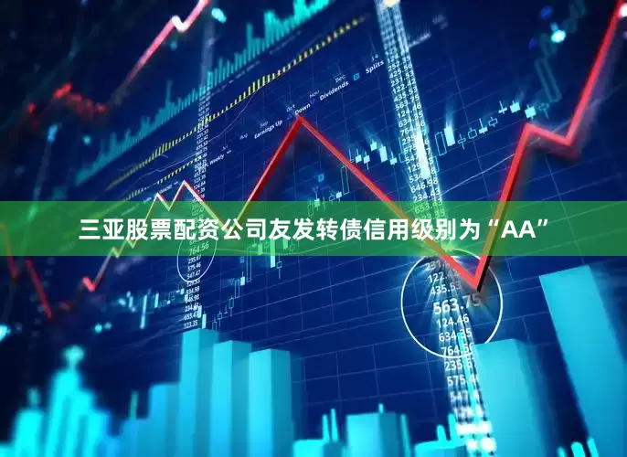 三亚股票配资公司友发转债信用级别为“AA”